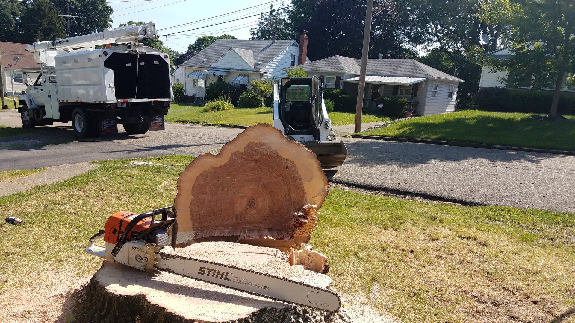 Stump Grinding Service